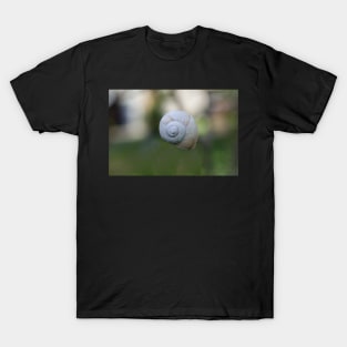 Snail shell in the middle of nature T-Shirt